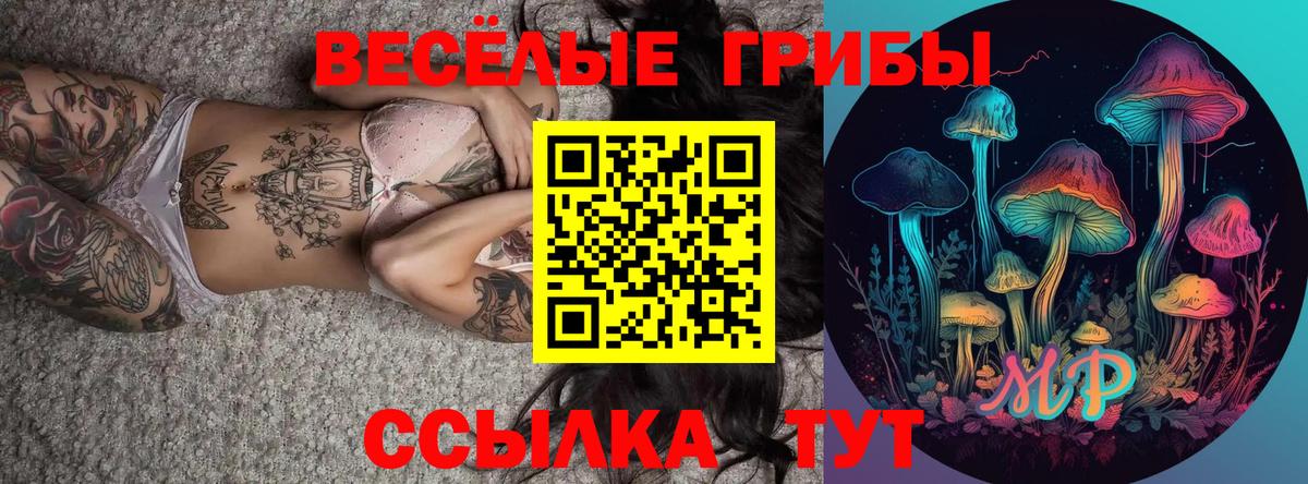 Галлюциногенные грибы Cubensis  Вход с VPN  Альметьевск 